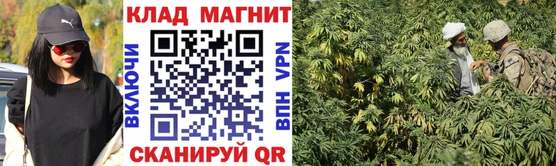 Где можно купить наркотики Соликамск Псилоцибиновые грибы  НБОМе  МЕФ  Alpha PVP  АМФ 