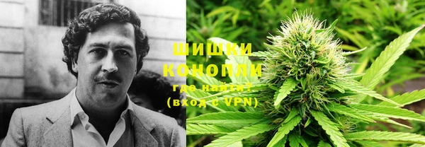 шишки Михайловск