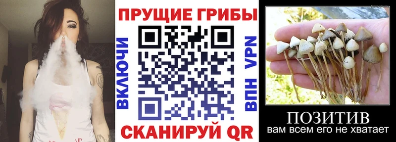 Псилоцибиновые грибы Magic Shrooms  Соликамск 