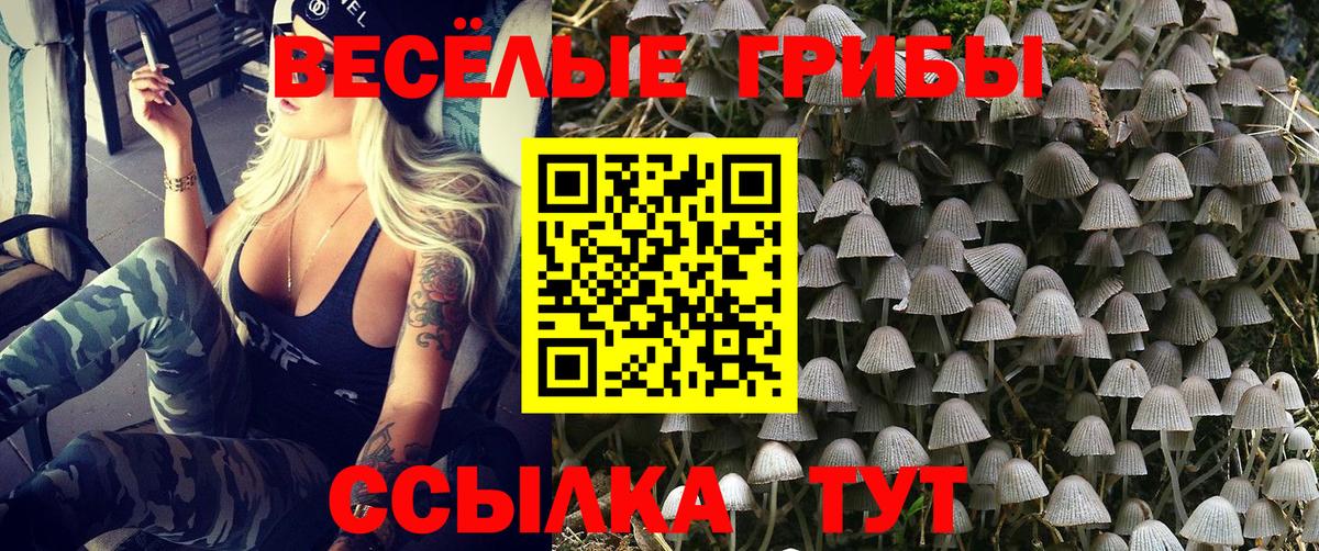 Соликамск  Галлюциногенные грибы Psilocybe  Вход с VPN 